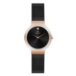 ساعت ویولت زنانه مدل B0569L