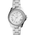 ساعت مچی فسیل مدل AM4576